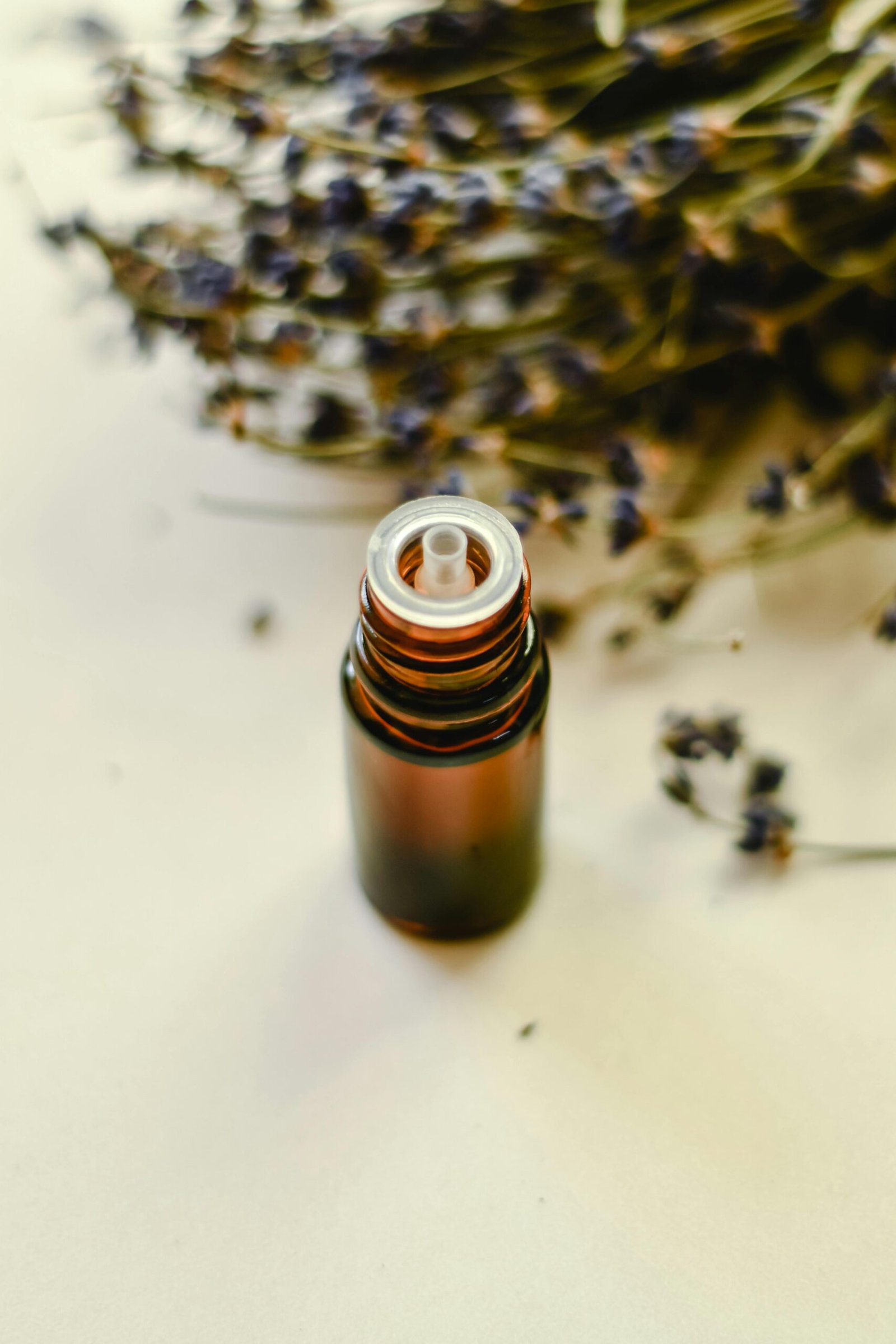 lavender oil wound healing