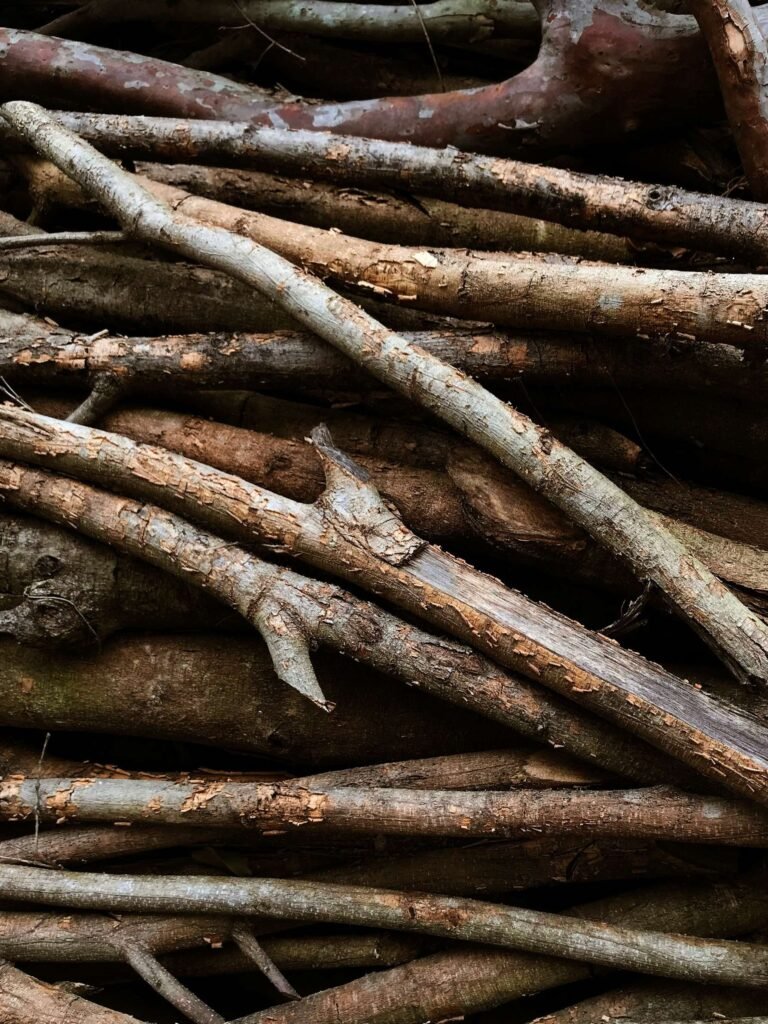licorice root for skin
