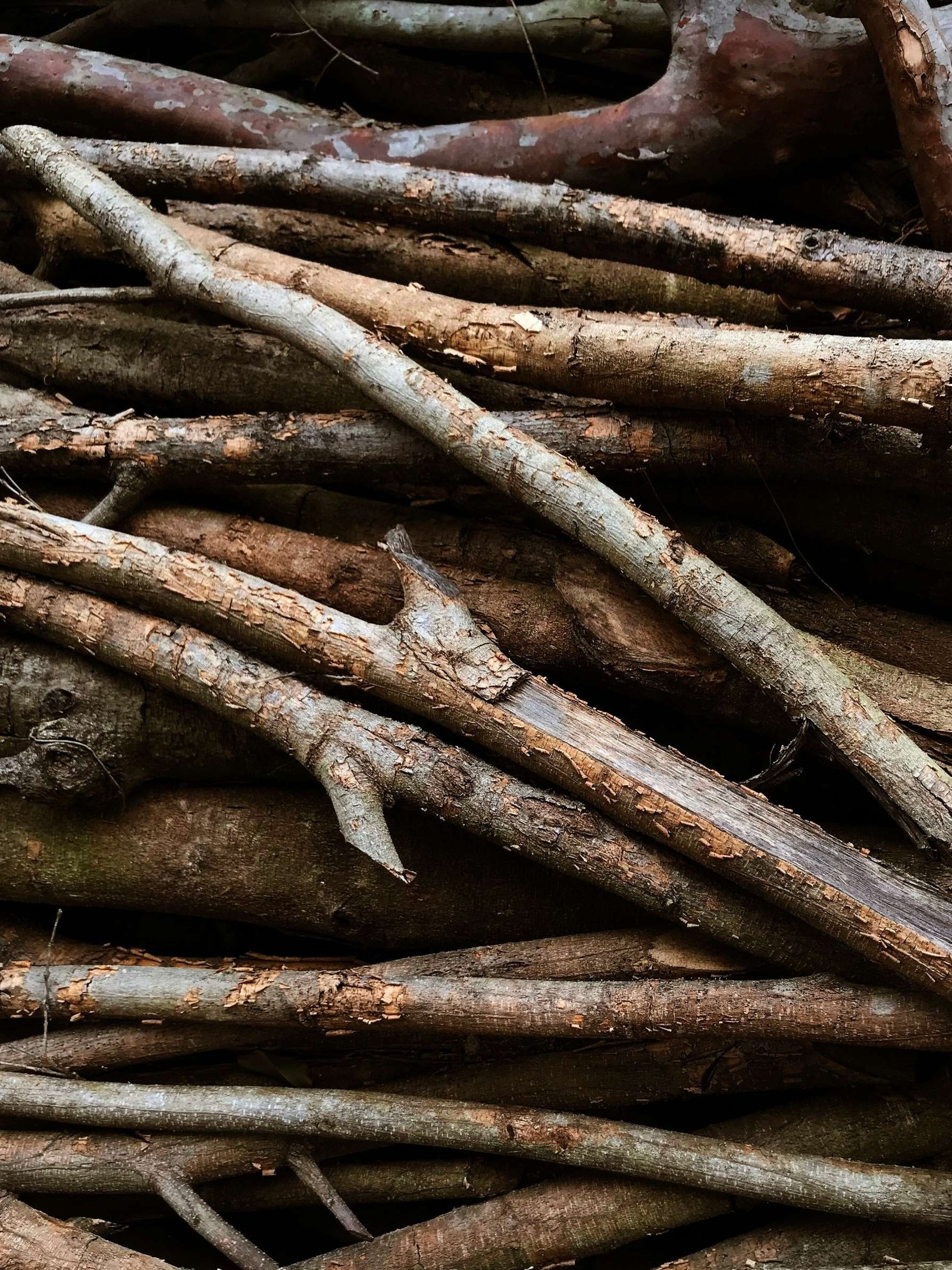 licorice root for skin