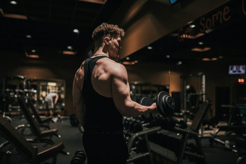 full body workout program